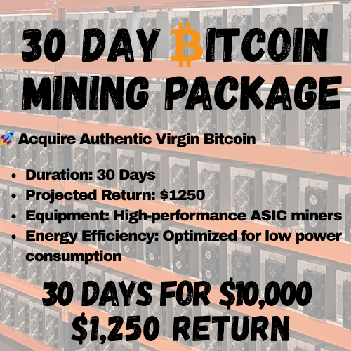 30 Days Bitcoin Mining