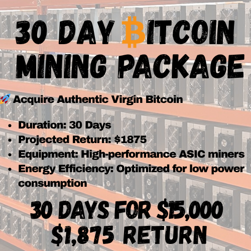 30 Days Bitcoin Mining